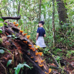 Kid's Activities_ Nature Walk (2)