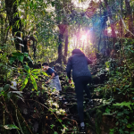 Kid's Activities_ Nature Walk